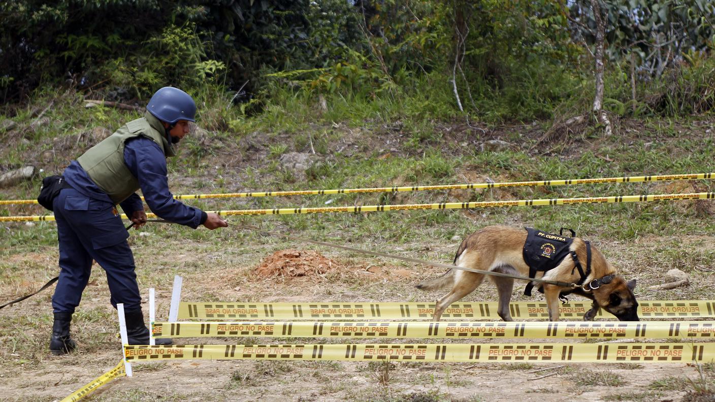 Prima si usava il guinzaglio