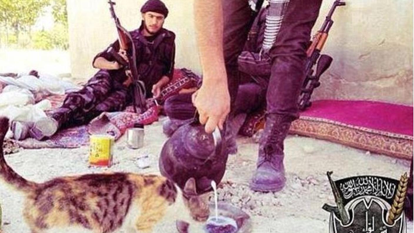 Finora i jihadisti hanno postato foto con i cuccioli anche per fare proseliti
