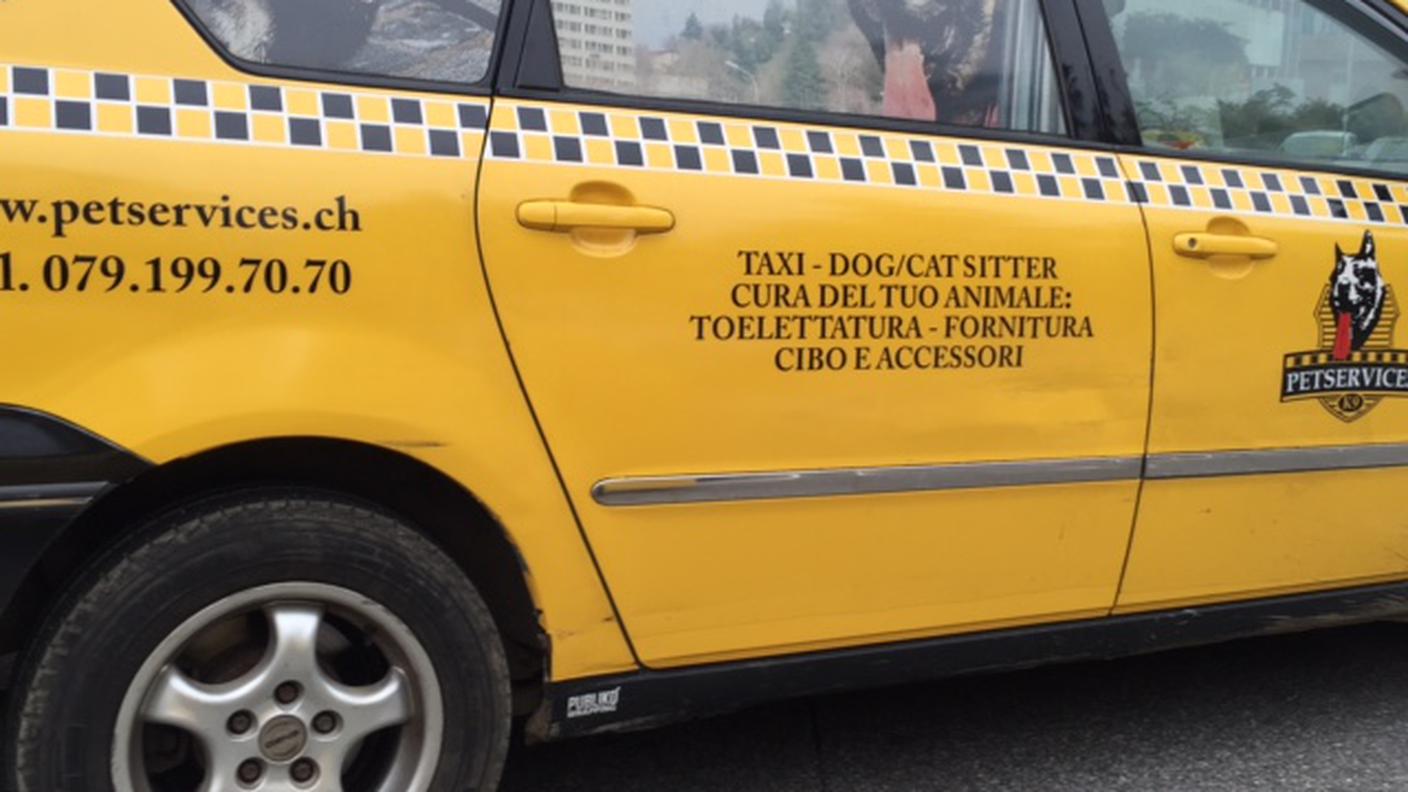Il servizio taxi, per Micio e Fido, di Giuseppe