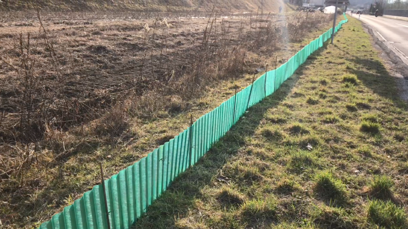 Barriera lungo la strada cantonale a Magadino