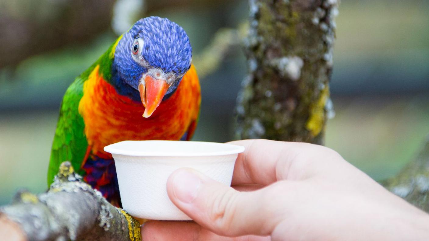 Una parte della struttura è accessibile ai visitatori, che possono anche nutrire i simpatici animaletti