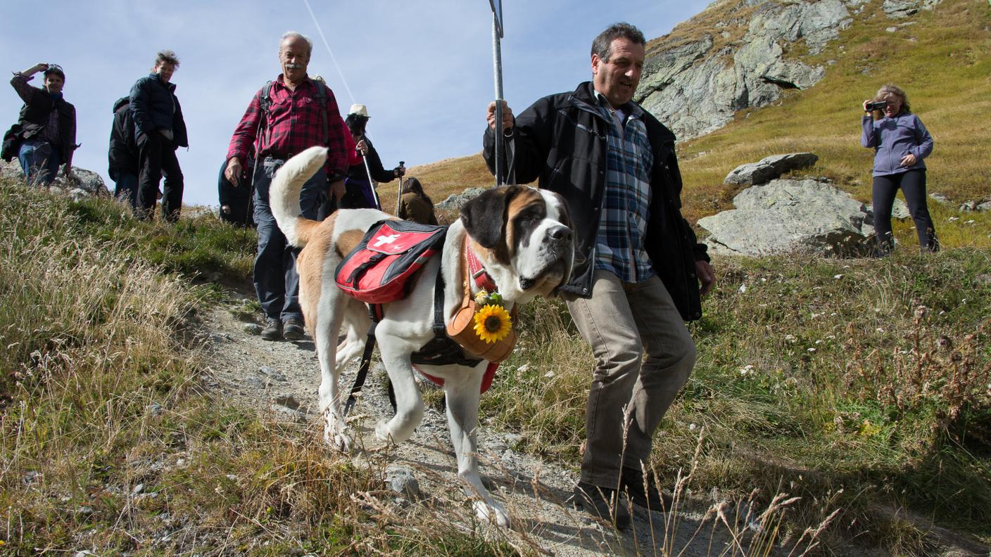 L’organizzazione non ha scopo di lucro e si dedica alla perpetuazione dei cani leggendari 