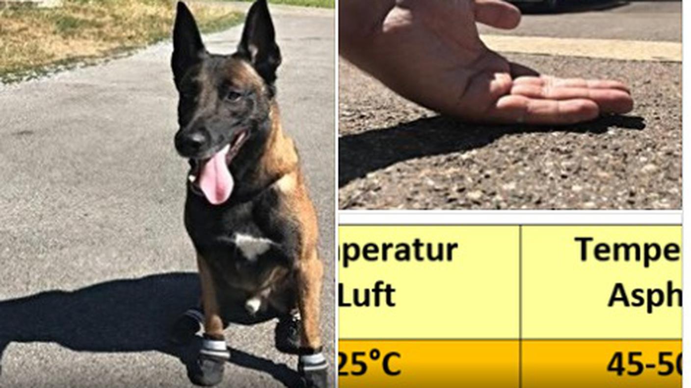 Le raccomandazioni della polizia di Zurigo