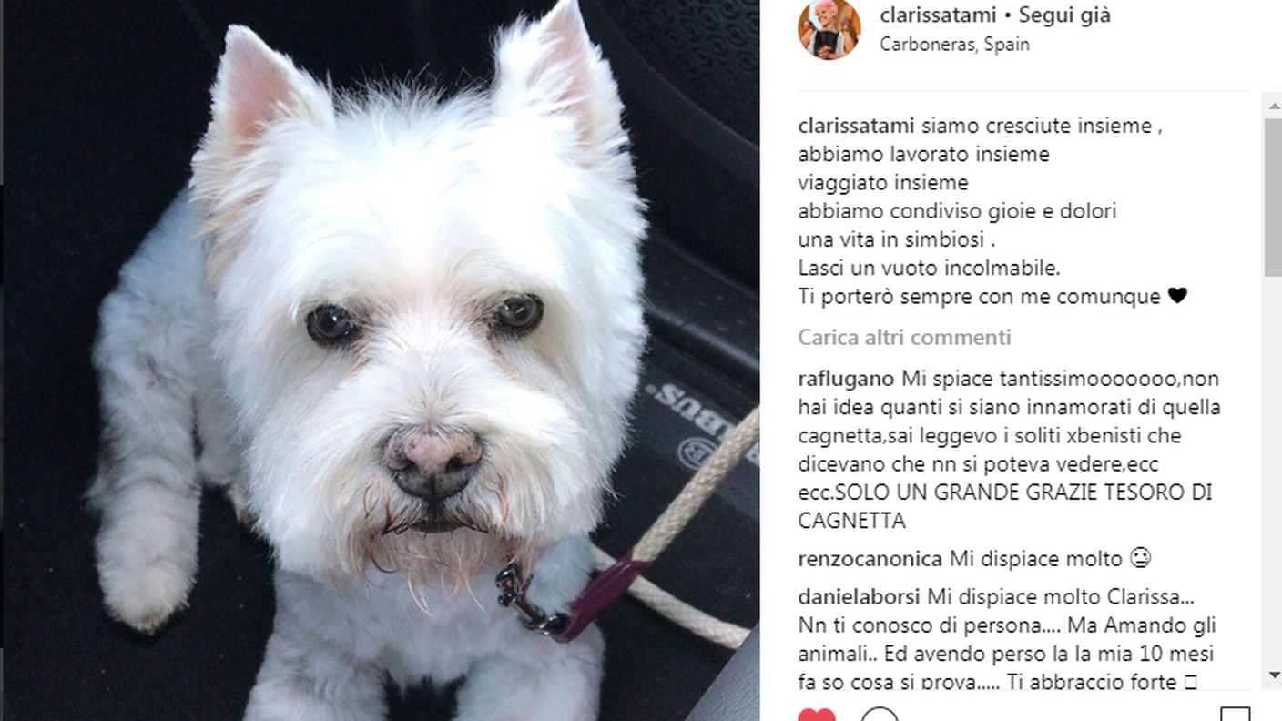 Il post di Clarissa Tami che annuncia la scomparsa di Clio