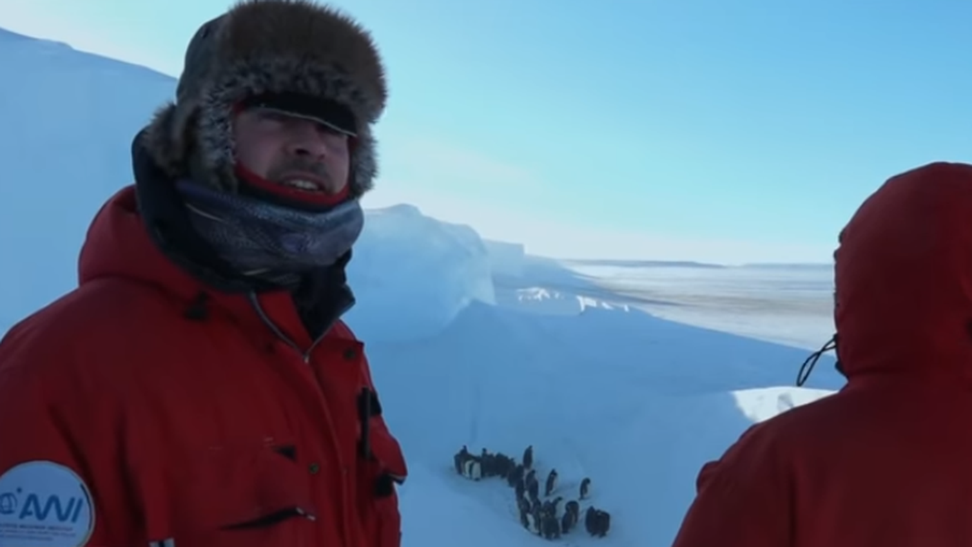 I documentaristi hanno scavato nella neve per permettere ai pinguini di salvarsi da morte certa