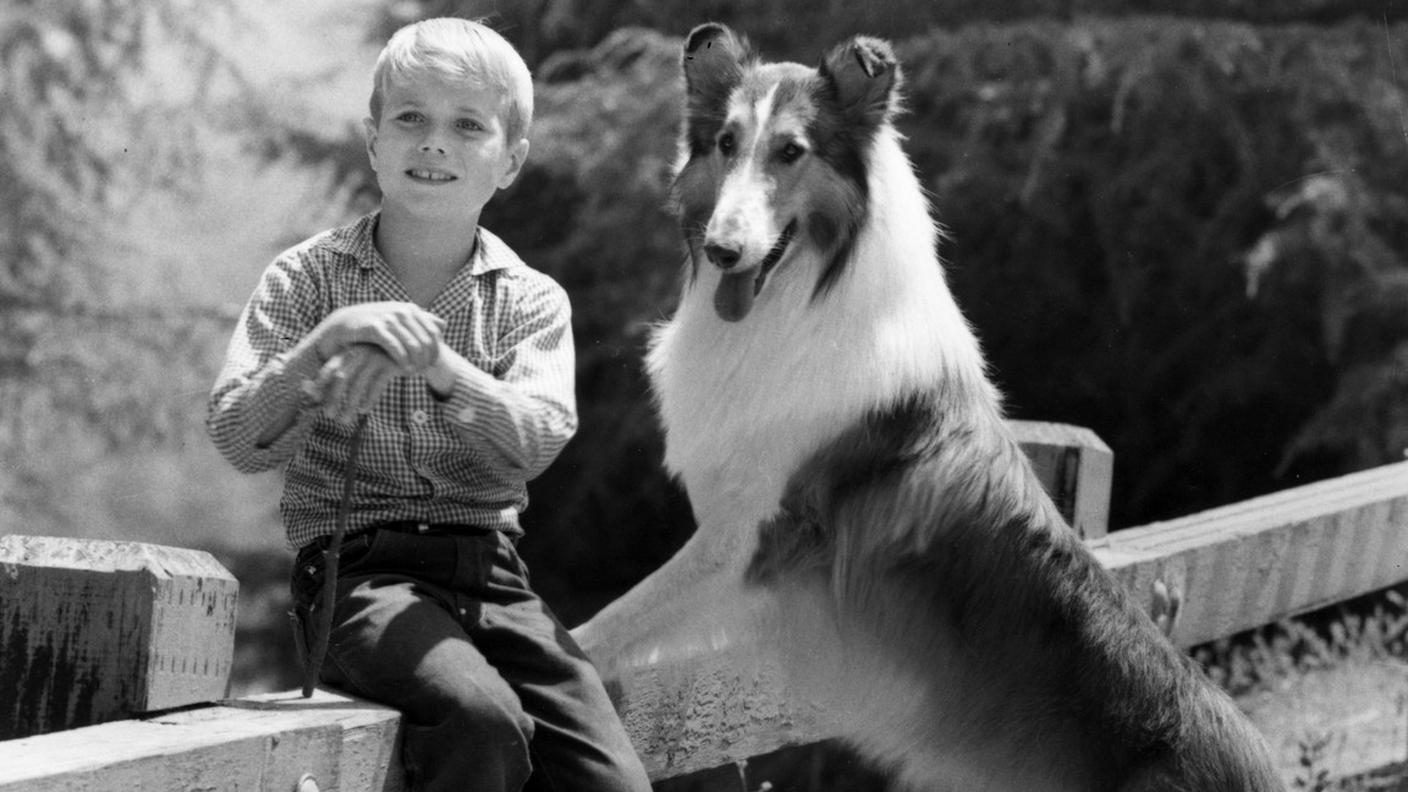 Lassie negli anni 1960