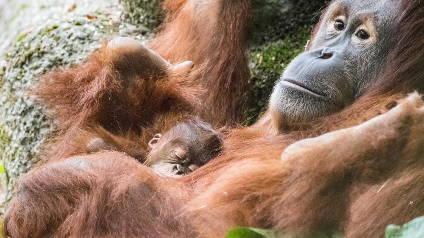 Madre e figlia