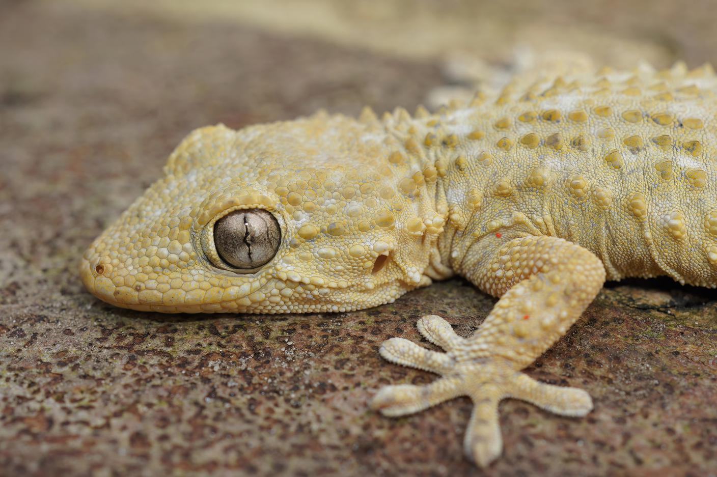imago722182618_Derpositphotos.jpg