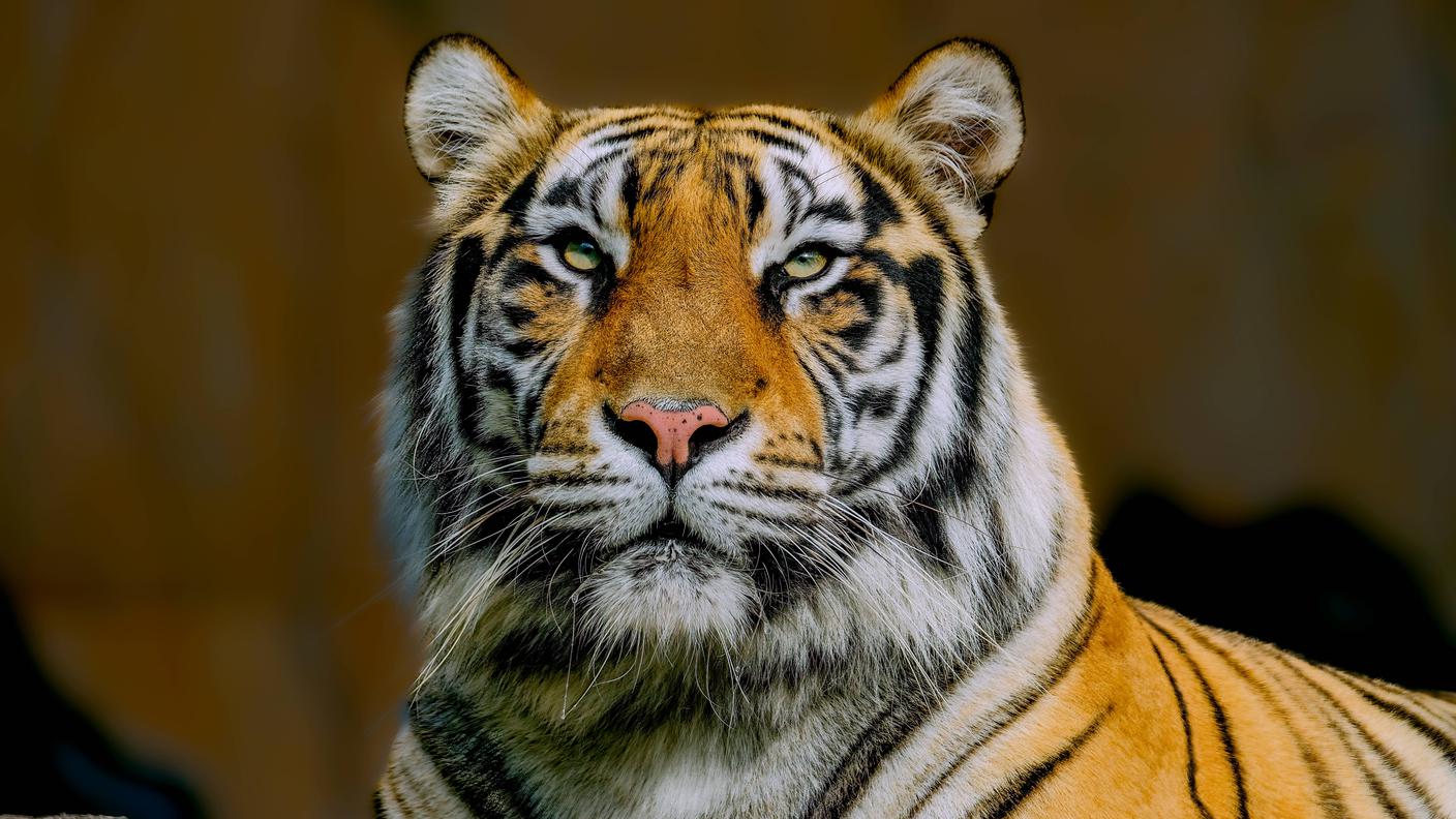 imago805317163_Cavan_Images.jpg