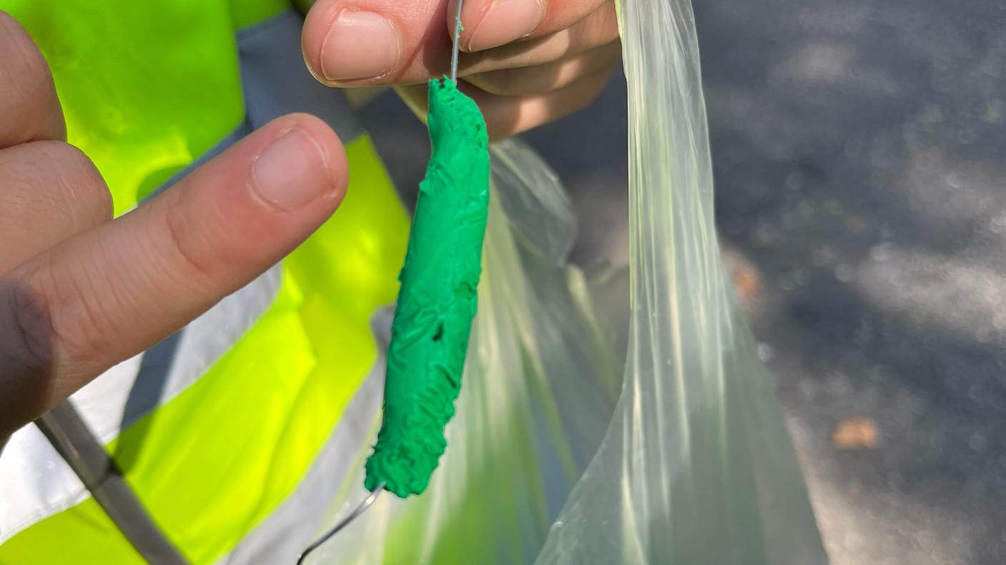 Tracce di alimentazione di uccelli e mammiferi su un bruco artificiale