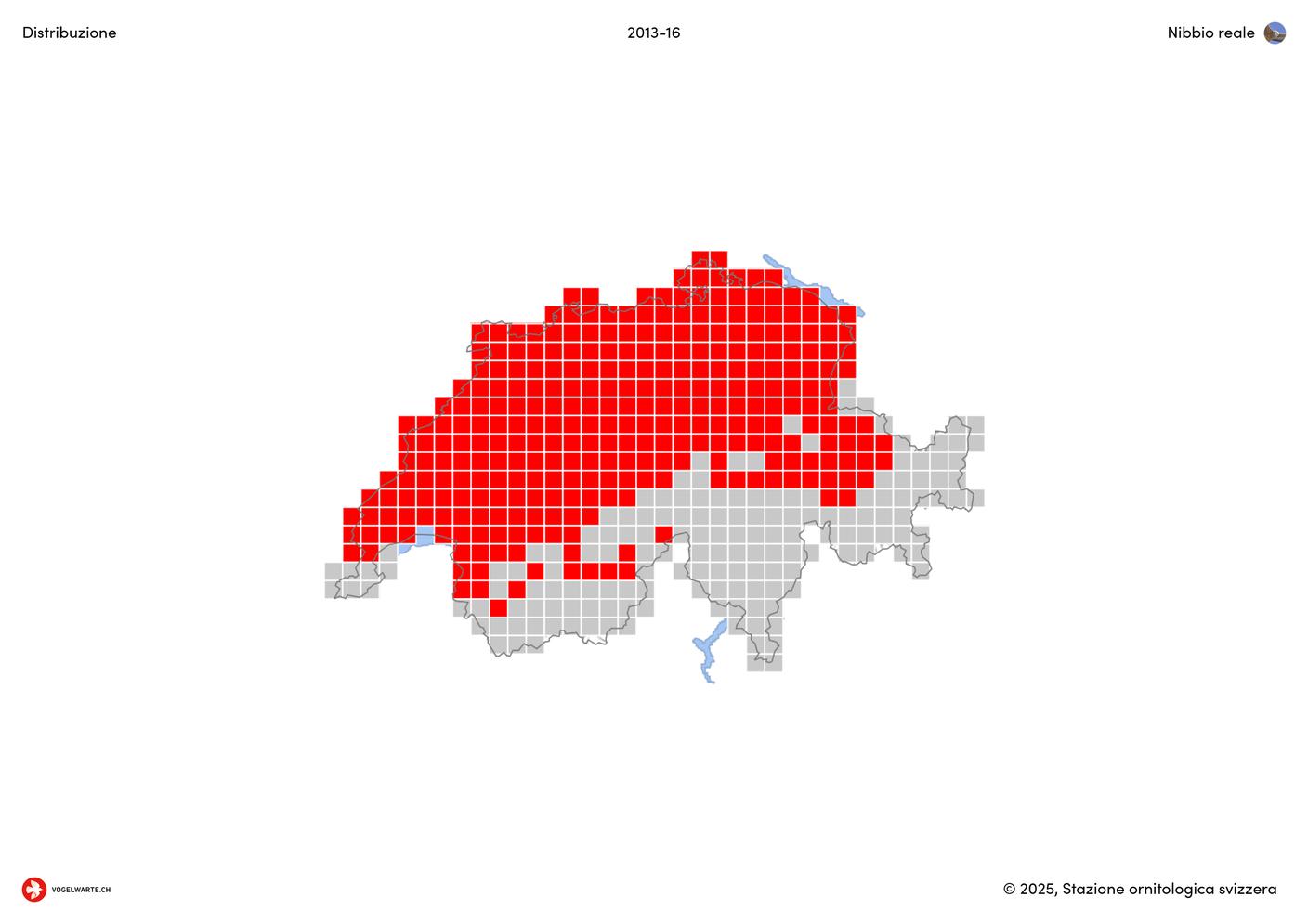La carta di distribuzione del nibbio reale in Svizzera dal 2013 al 2016. Di recente, Ficedula ha segnalato nidificazioni anche in Ticino 