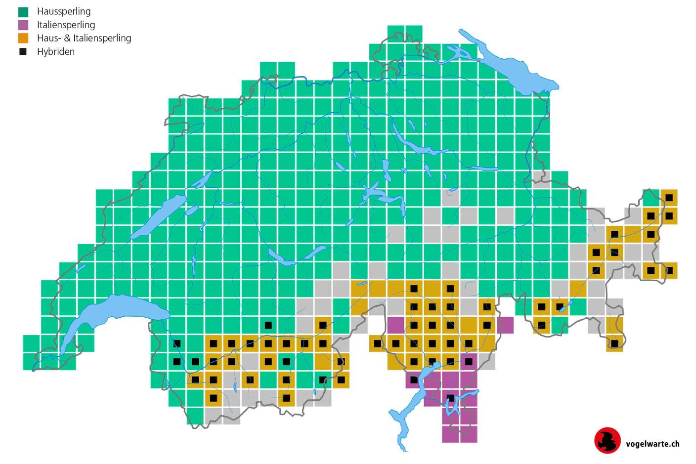 Distribuzione della passera europea (in verde) e della passera d'Italia (in viola) nel periodo 2013-20216. Le aree in cui sono presenti entrambe sono di colore giallo. La presenza di quadrati di colore nero indica i siti in cui sono stati rilevati ibridi fra le due specie