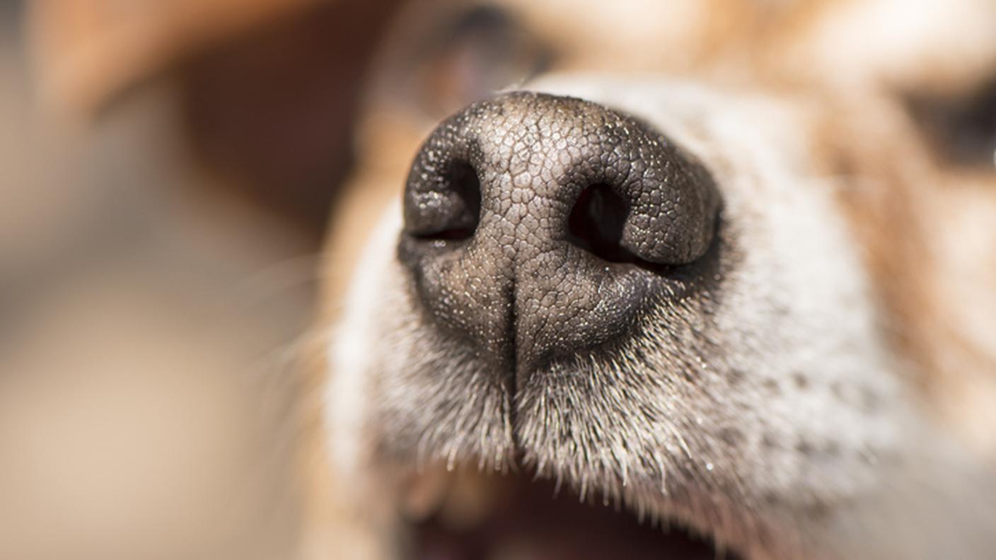 iStock-949998970.jpg
