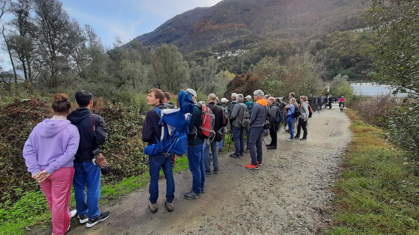 Appassionati alla ricerca del raro uccellino
