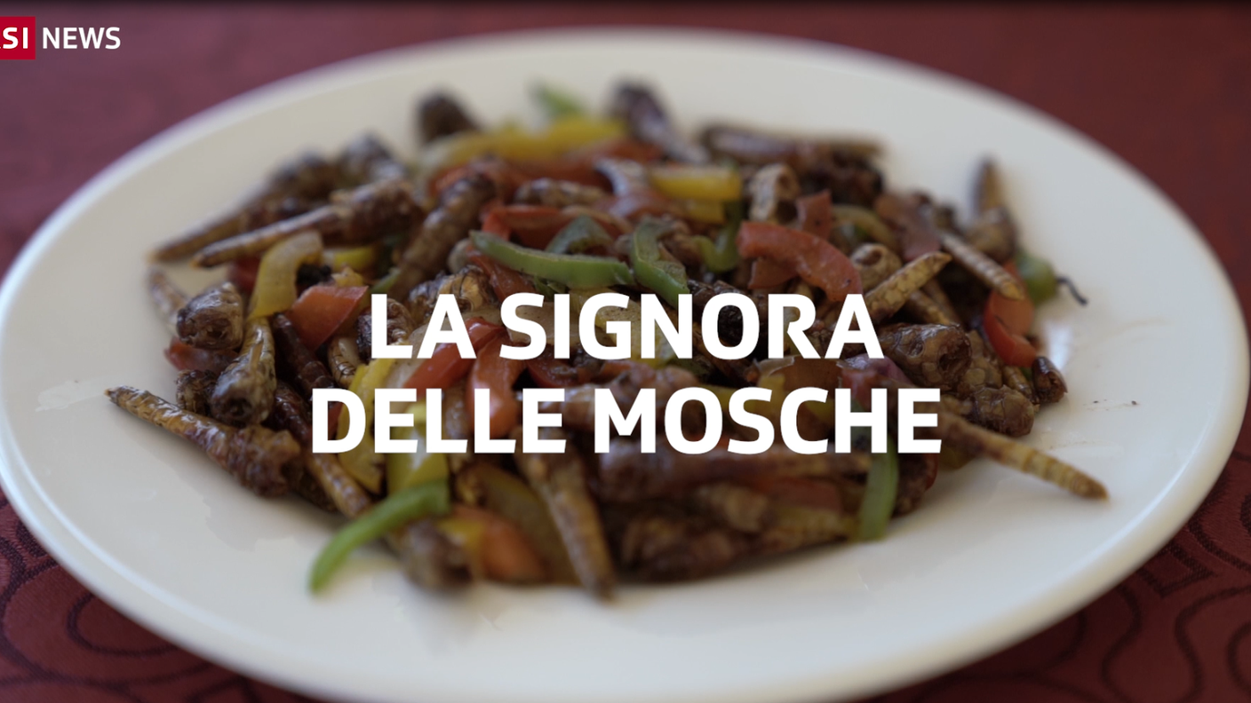 signora