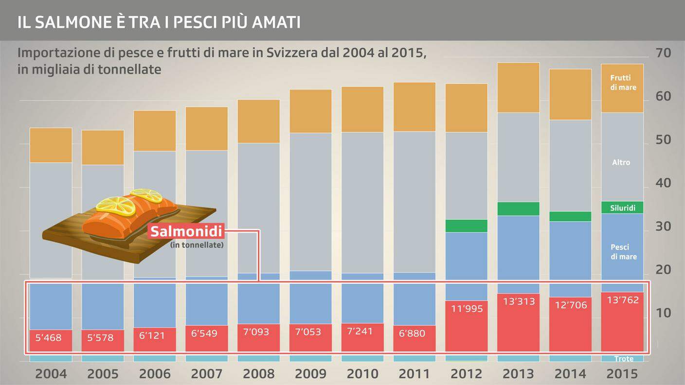 La quantità di salmone importato in Svizzera è in crescita