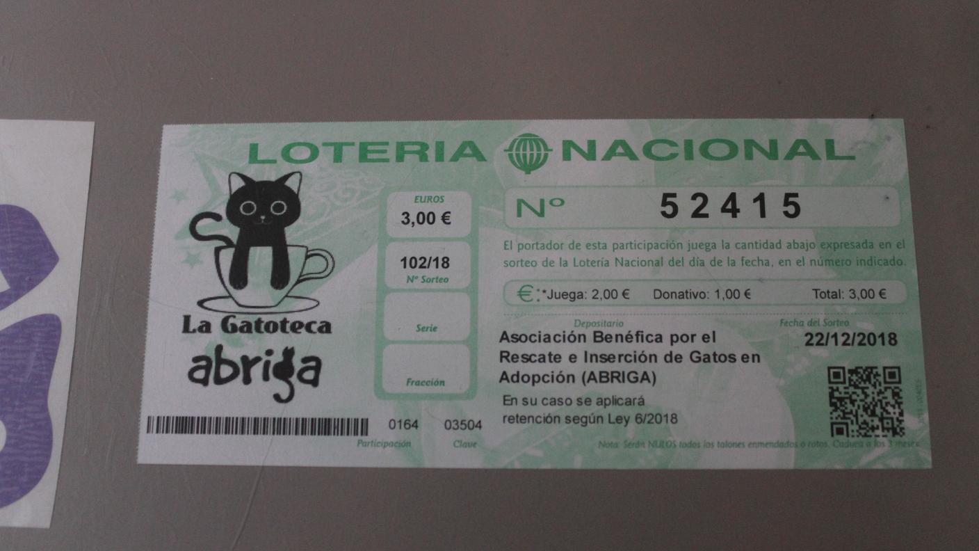 Gatoteca - il biglietto della lotteria felina di Natale