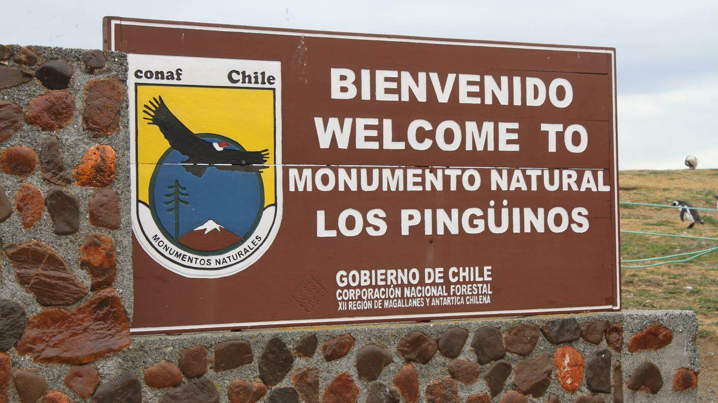 Monumento naturale Los Pinguinos - Isola Magdalena
