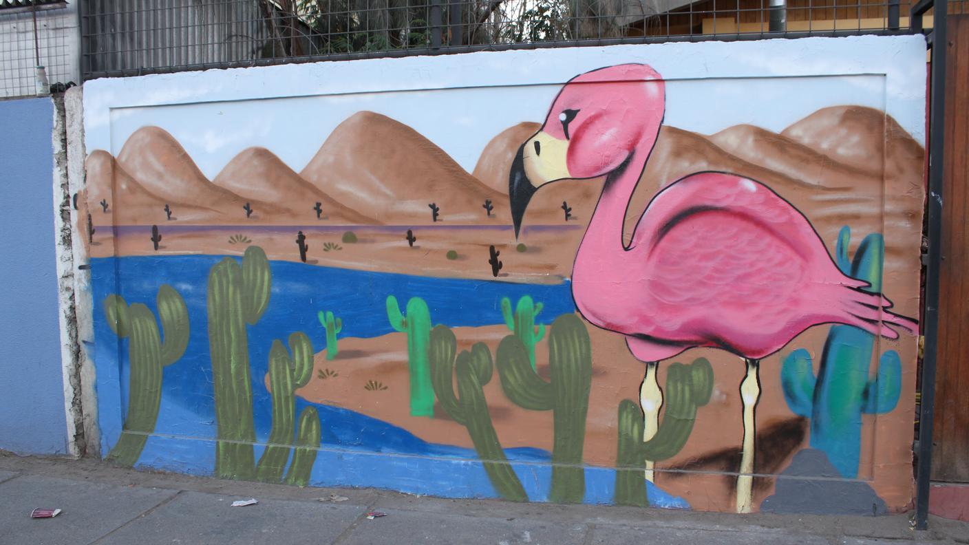 Calama - i fenicotteri rosa, simbolo di Atacama