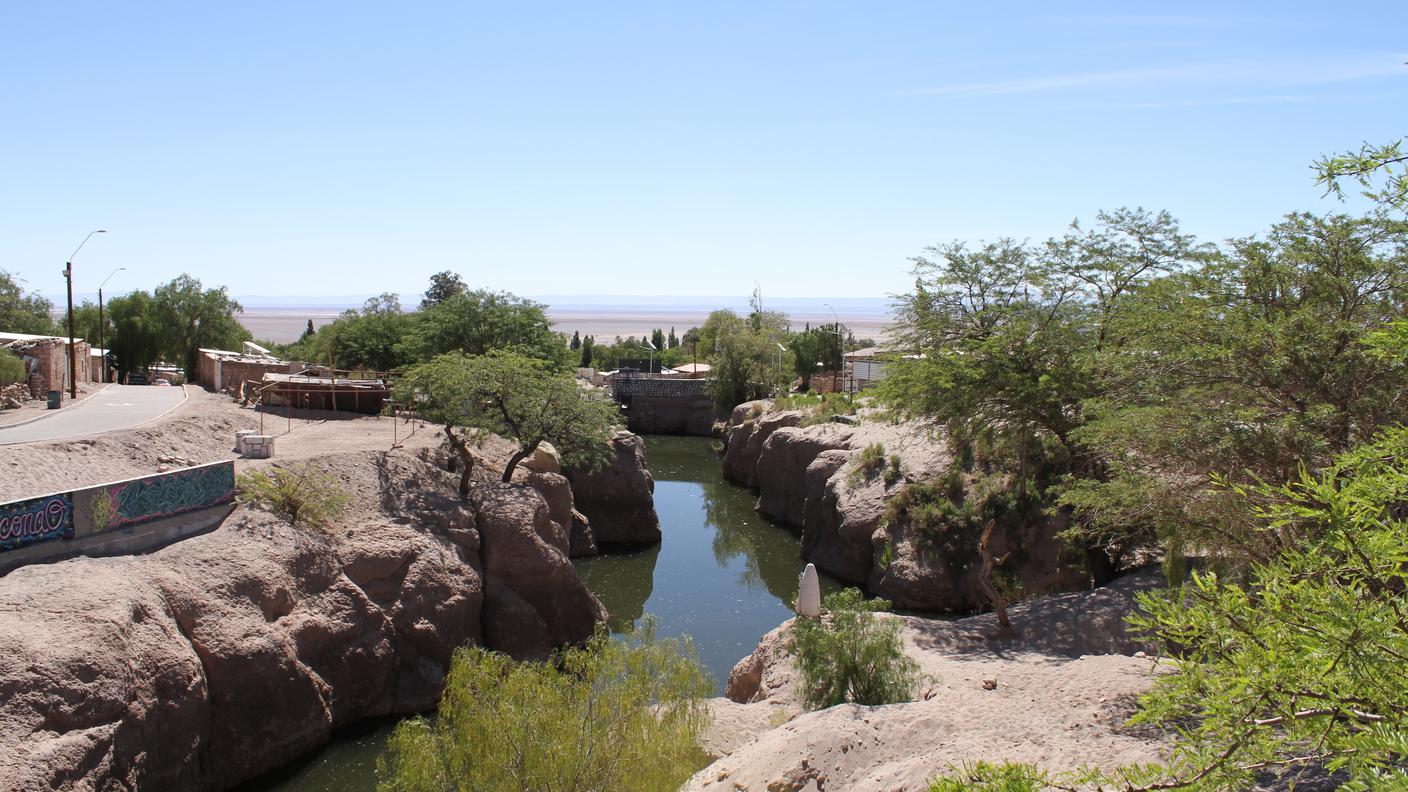 Il rio di Toconao, unico corso d'acqua della zona di San Pedro di Atacama