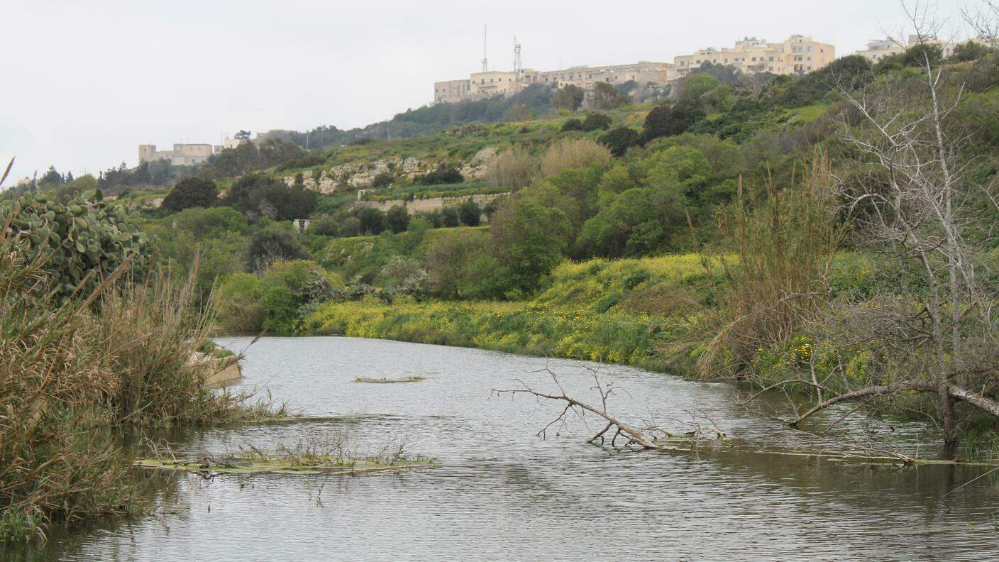 I Chadwick lakes sono i maggiori bacini d'acqua nell'isola di Malta e sono artificiali. In superficie scorre poca acqua durante il periodo invernale e tende a prosciugarsi in estate.