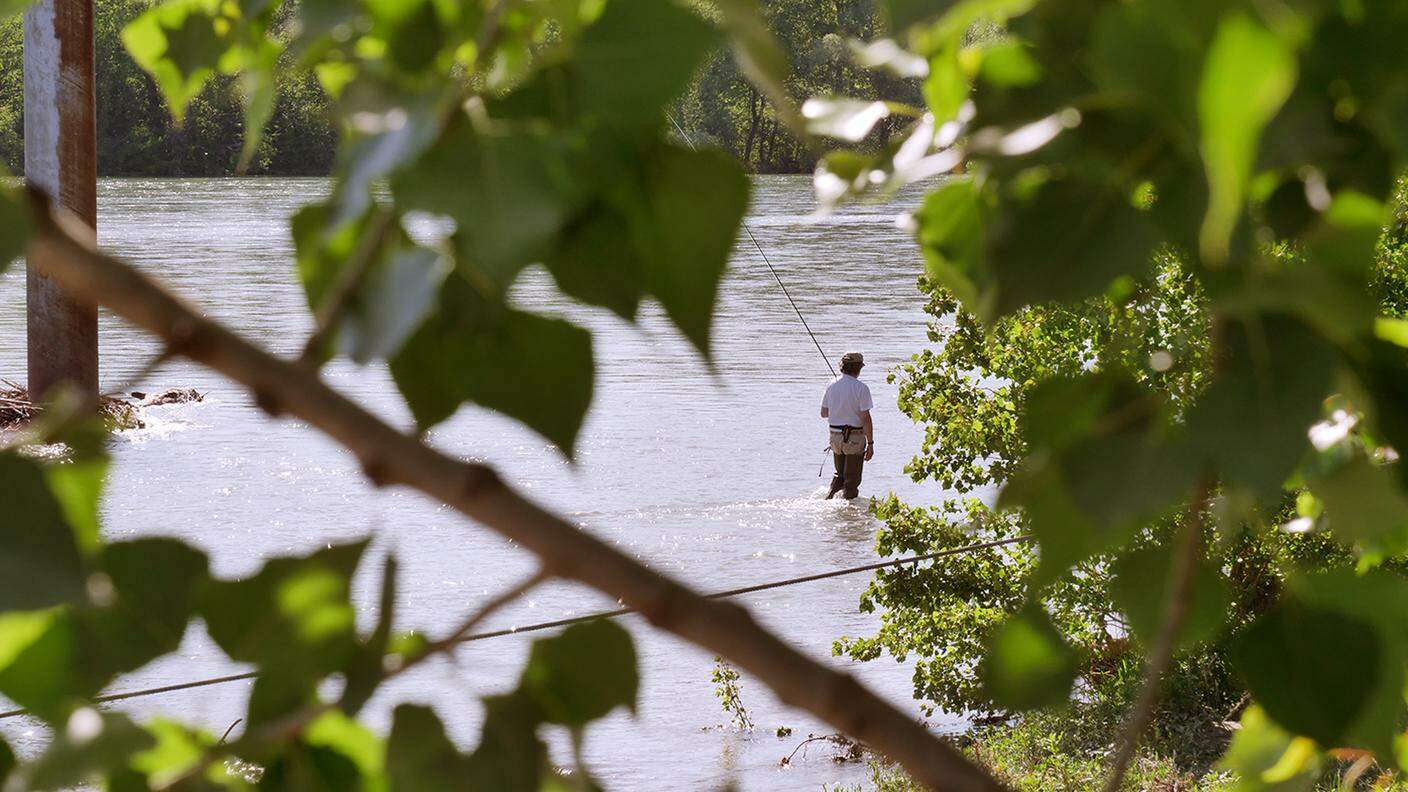 Un pescatore sul fiume Ticino