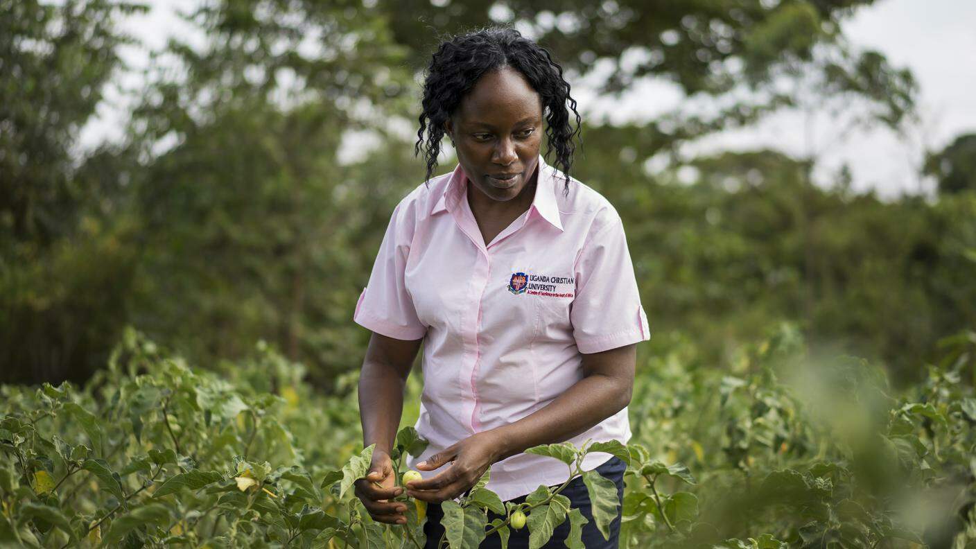 Liz Kizito, agronoma ugandese