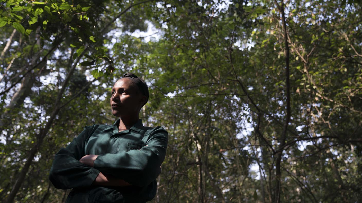 Caroline Asiimwe, veterinaria al parco di Budongo in Uganda