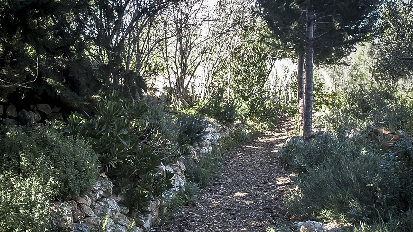 Un sentiero nella campagna privata di Charles Vella, realizzato interamente con piante locali maltesi