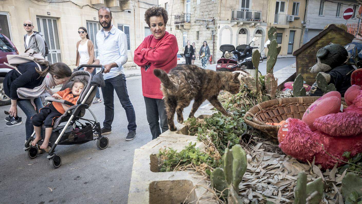 Comunità di persone, turisti o semplici curiosi, giungono da ogni parte dell'isola e d'Europa per visitare il Cat Village di Malta. Il villaggio sopravvive grazie anche alle donazioni private