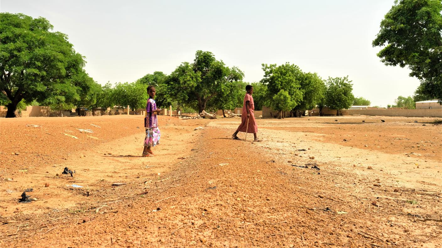 La foresta di Yakouba