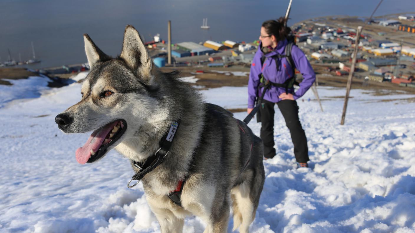 La prevenzione passa anche dall'addestramento dei cani da valanga