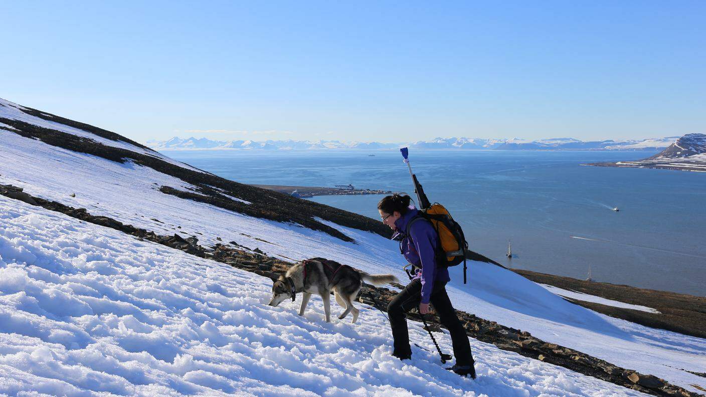 Un panorama mozzafiato a Longyearbyen per l'addestramento di questo amico dell'uomo