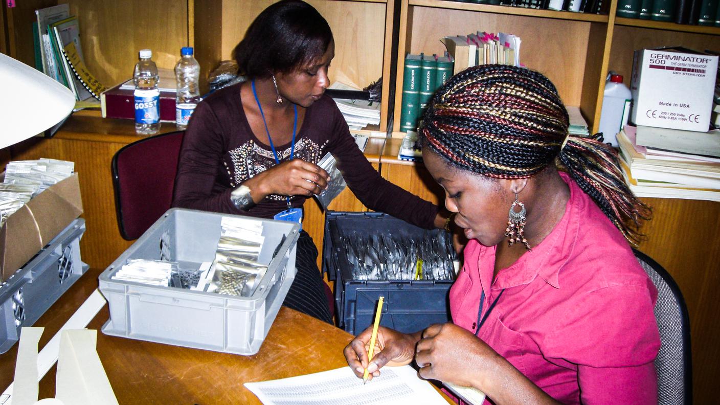Due impiegate della banca genetica di Abuja registrano le copie dei semi prima della spedizione al Global Seed Vault