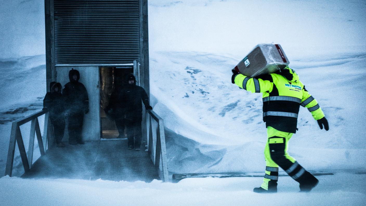 Gli involucri contenenti i semi vengono trasportati all'interno del Global Seed Vault