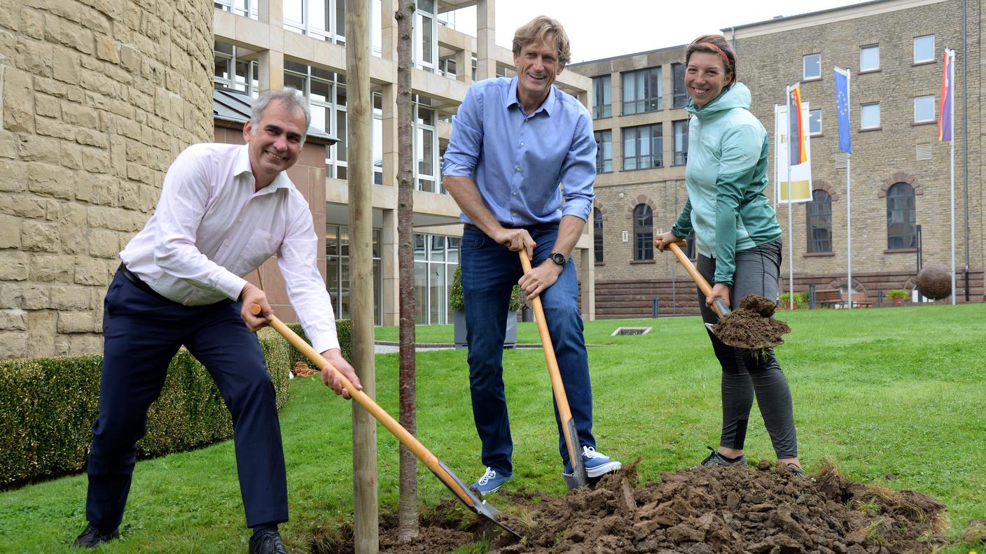 Mini sosta. Il tempo di piantare alcuni alberi nel cortile dell'Università di Zurigo