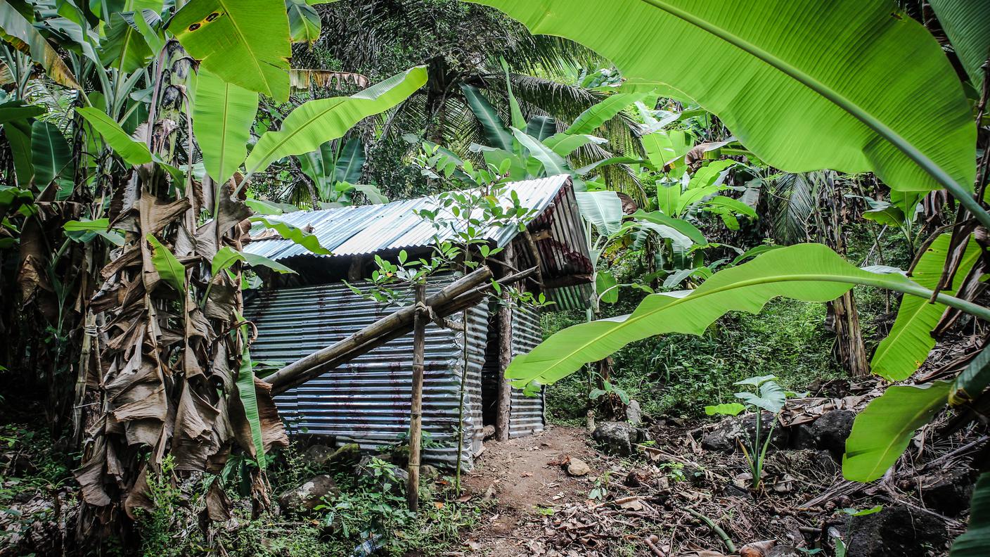 Molti migranti economici, provenienti sopratutto dalle Comore e dal Madagascar, scelgono di vivere immersi nella foresta, dove ci sono meno controlli