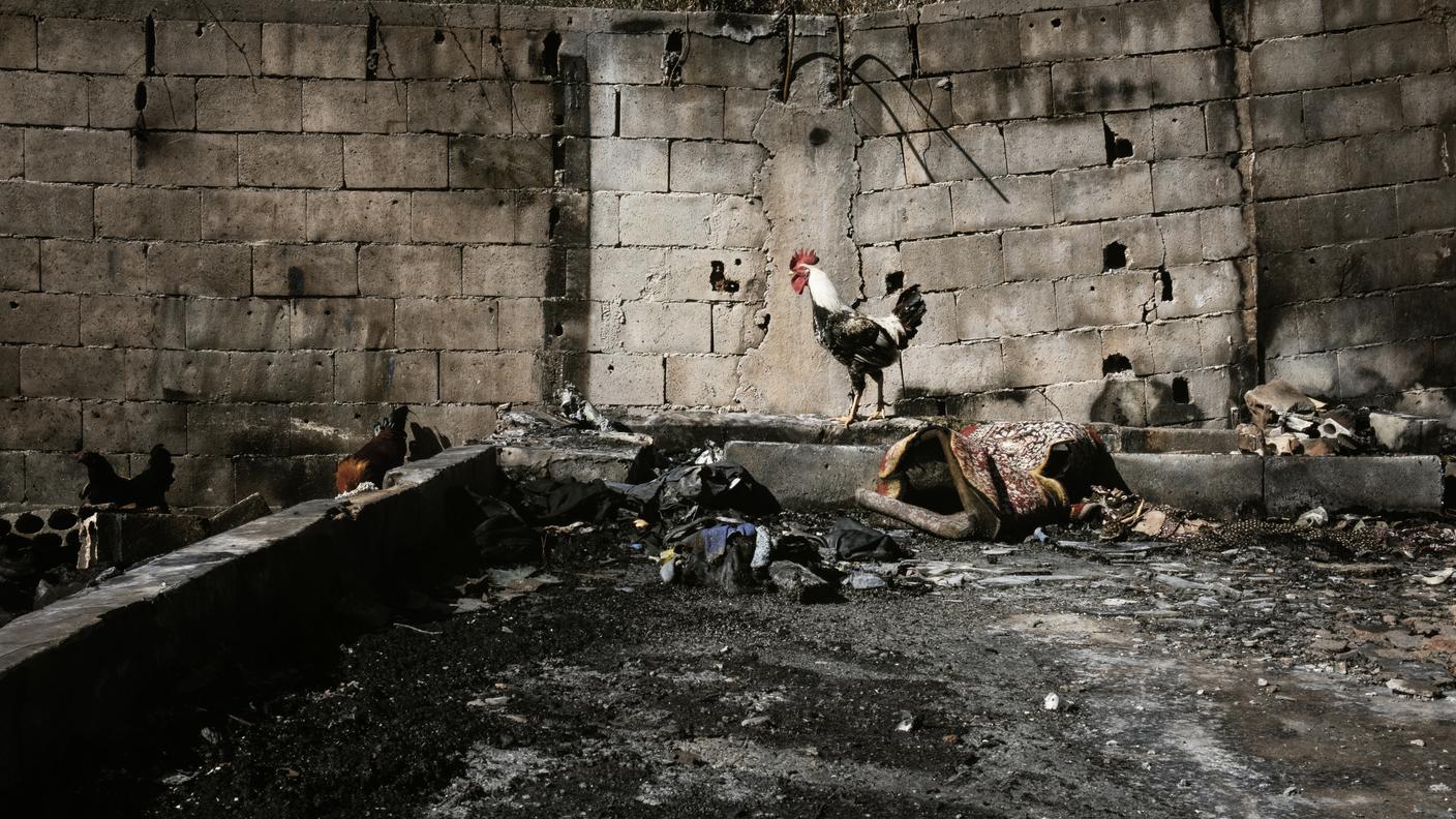 Il campo di Minieh, a Sud della città di Tripoli, è stato incendiato a fine dicembre. Si è salvato solo un gruppo di galline del pollaio.