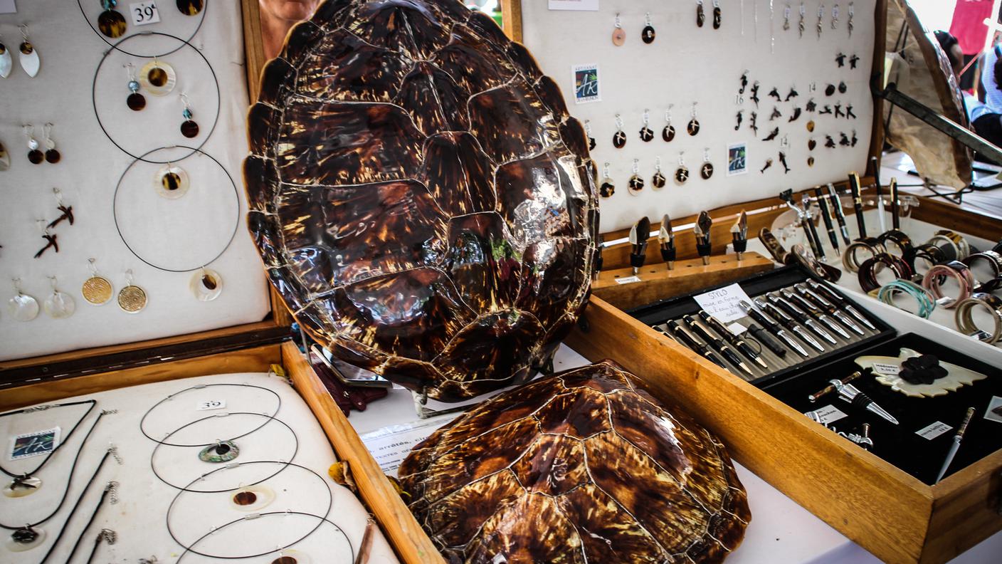 I carapaci delle tartarughe uccise prima che questa pratica fosse vietata vengono ancora venduti nei mercati dei mercati delle isole dell'Oceano indiano