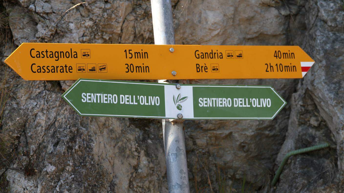 Un cartello indica il sentiero dell'olivo a Gandria