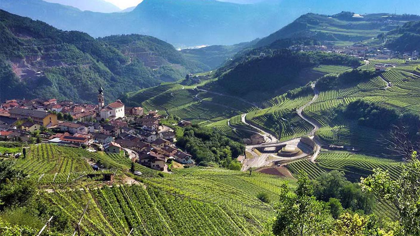 Vigneti nell'alta Val di Cembra, in Trentino, uno dei territori più vocati alla viticoltura in quota