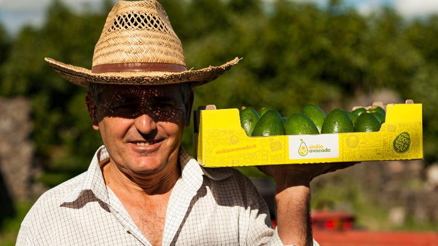 Un agricoltore di SiciliaAvocado con una cassetta di frutta in spalla