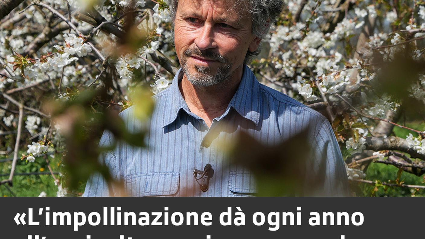 Biodiversità ed economia 3