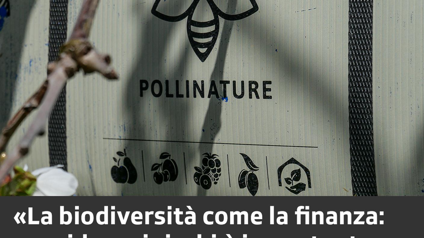 Biodiversità ed economia 5