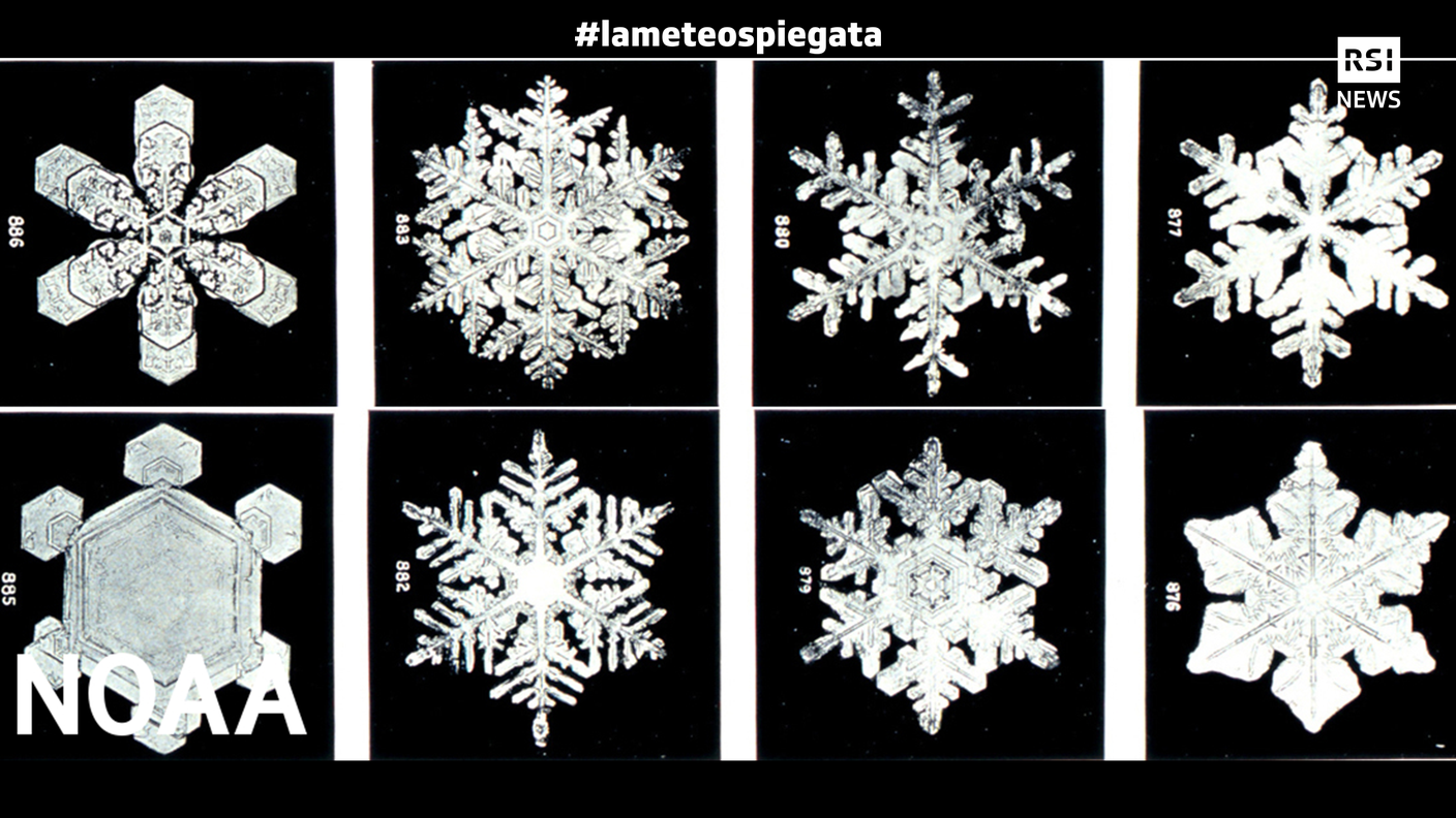 PHOTO-snowflake-noaa-121516-1120x534-landscapehero_LOGO.jpg.png