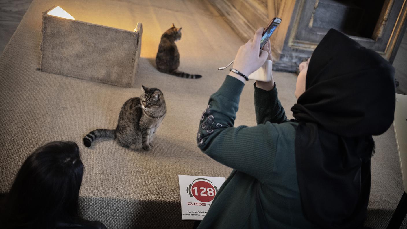 Ogni giorno centinaia di visitatori si accalcano intorno a lei e a sua sorella Kızım per fotografarle con telefonino