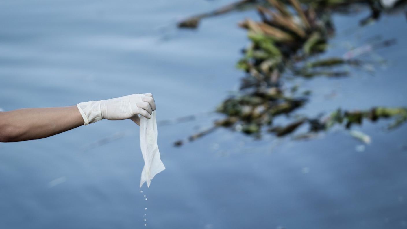 Le particelle piccole più insidiose per gli ecosistemi acquatici