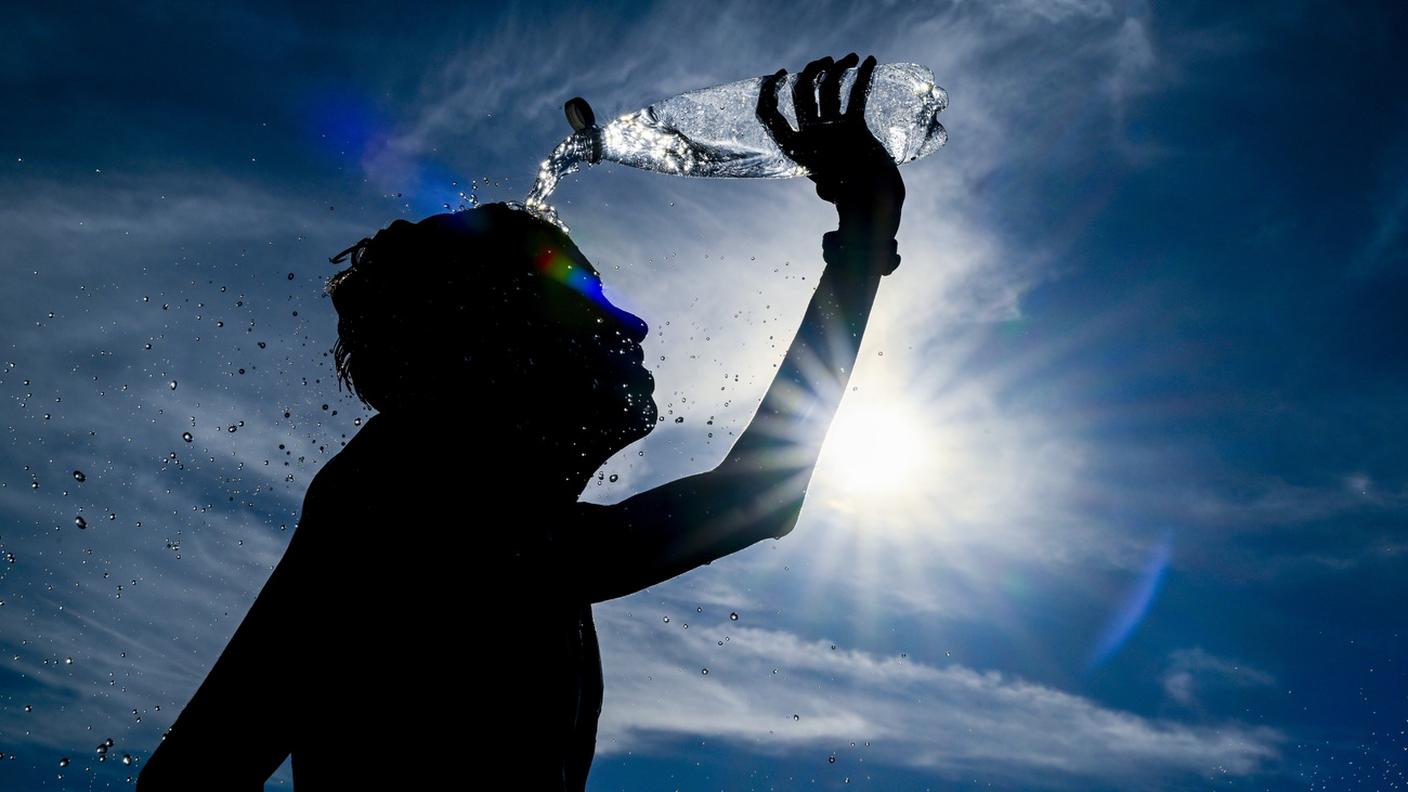 Il caldo è un fattore di stress fisiologico molto importante, che innesca una risposta dell’organismo