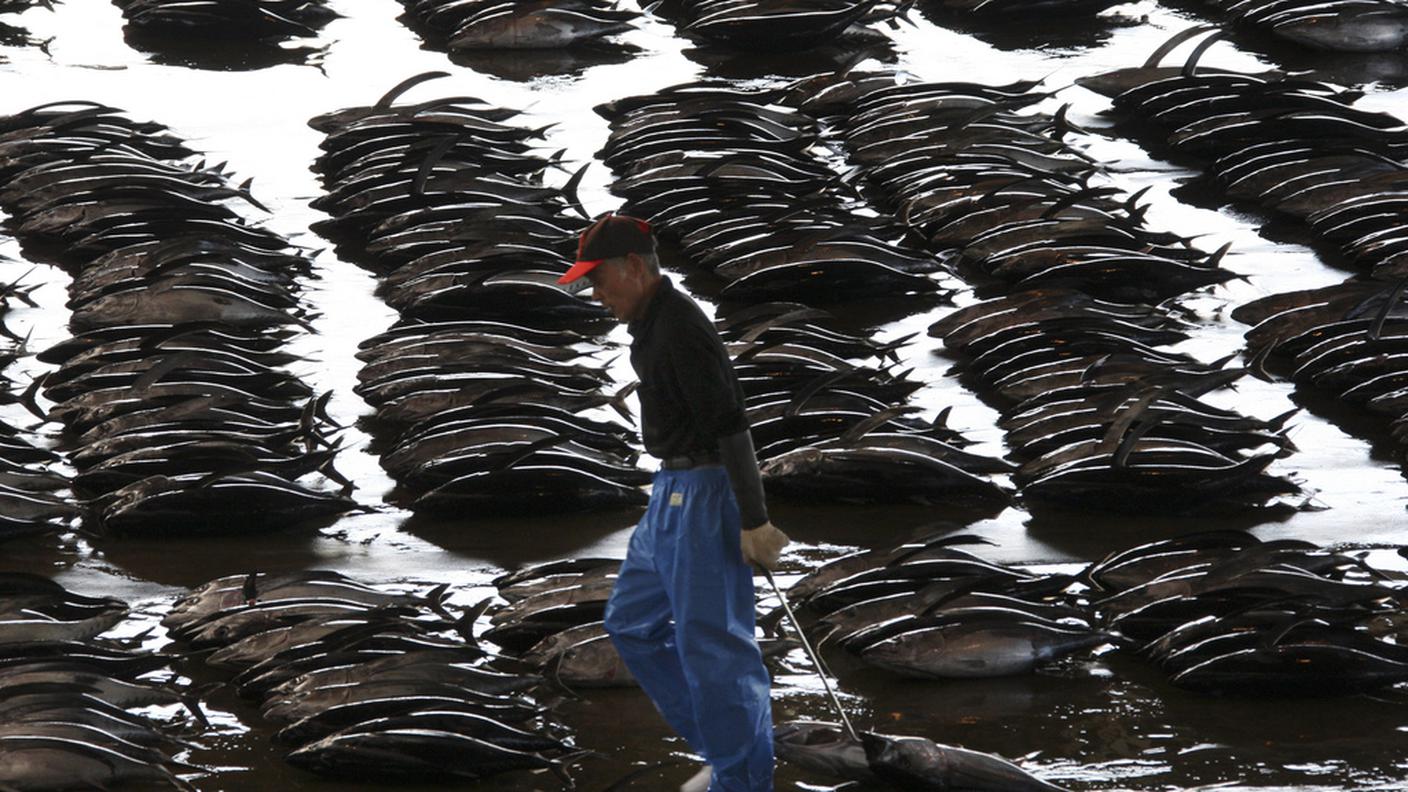 La pesca troppo intensiva è una minaccia