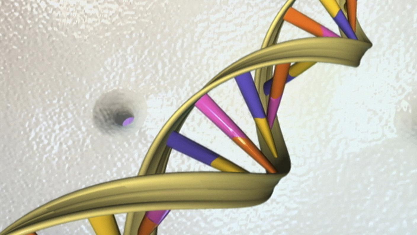 In futuro potrà essere usato come strumento diagnostico